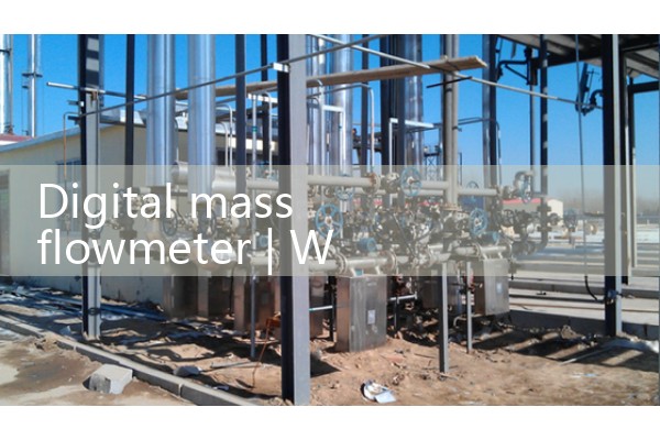 Digital mass flowmeter